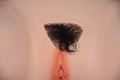 Pubic Hair DL Pubes 1